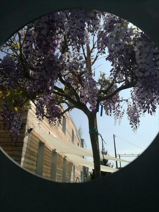Via Dei Dori B&B Mirano Exterior foto